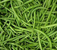 Bean Burpee Stringless Bush Green Bean Seeds  ,"COOL BEANS N SPROUTS" Brand. Home Gardening. - Cool Beans & Sprouts