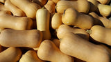 Squash Seeds,  Waltham Butternut Squash Seeds,"COOL BEANS N SPROUTS" Brand. Heirloom. Non-GMO. Home Gardening. - Cool Beans & Sprouts