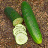 Cucumber Seeds, Straight Eight Cucumber Seeds, "COOL BEANS N SPROUTS" Brand. Non-GMO. Home Gardening. - Cool Beans & Sprouts