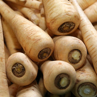Parsnip Seeds, Hollow Crown Parsnip Seeds,"COOL BEANS N SPROUTS" Brand. Home Gardening. - Cool Beans & Sprouts