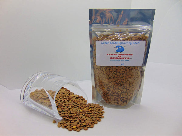 Green Lentil Seeds for Sprouting Microgreens, A Rich Source of Vitamins and Minerals and Health-Promoting Nutrients! "COOL BEANS N SPROUTS" Brand, A Small Town Family Run USA Business. - Cool Beans & Sprouts