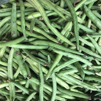 Bean Burpee Stringless Bush Green Bean Seeds  ,"COOL BEANS N SPROUTS" Brand. Home Gardening. - Cool Beans & Sprouts