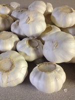Garlic Bulbs, Whole Garlic Bulbs, Ready for Planting or Preparing as a Great Flavoring for Any Dish. USA Business and Products. - Cool Beans & Sprouts