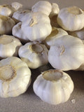 Garlic Bulbs, Whole Garlic Bulbs, Ready for Planting or Preparing as a Great Flavoring for Any Dish. USA Business and Products. - Cool Beans & Sprouts