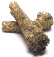 Horseradish Root All Natural , Ready for Eating, Planting or Prepping for your favorite main course, side dishes , sauces dips or tonics. - Cool Beans & Sprouts