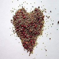 Love Your Heart Mix seeds for sprouting microgreens, "Cool Beans N Sprouts " Brand , A USA Business. - Cool Beans & Sprouts