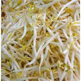 Peyton's protein mix seeds for sprouting microgreens "Cool Beans N Sprouts" Brand, a superfood packed with antioxidants. USA Business. - Cool Beans & Sprouts